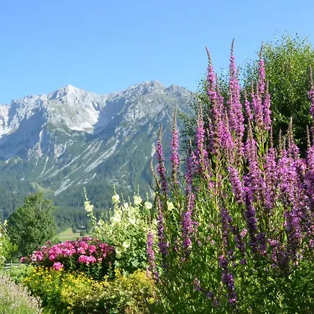 Moeslehnerhof Готель