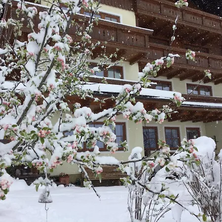 Hotel Moeslehnerhof Ramsau am Dachstein