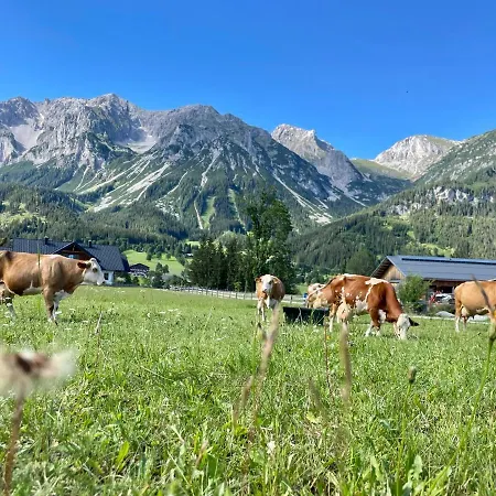Otel Moeslehnerhof Ramsau am Dachstein