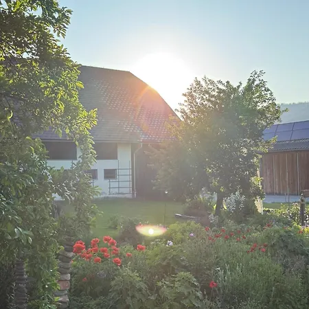 Moeslehnerhof Готель Рамзау-ам-Дахштайн