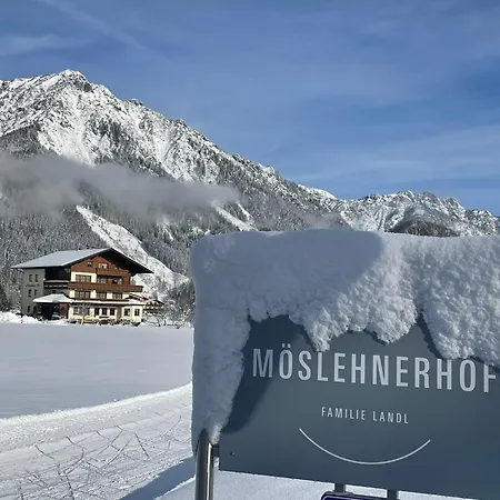 Moeslehnerhof Готель Рамзау-ам-Дахштайн