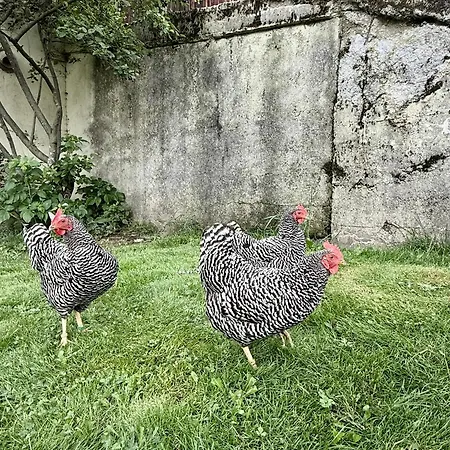 Moeslehnerhof Готель Рамзау-ам-Дахштайн