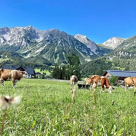 Moeslehnerhof 3*